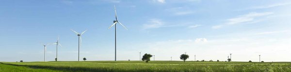 Pourquoi travailler avec un freelance seo à Montpellier au lieu de collaborer avec une agence web ?